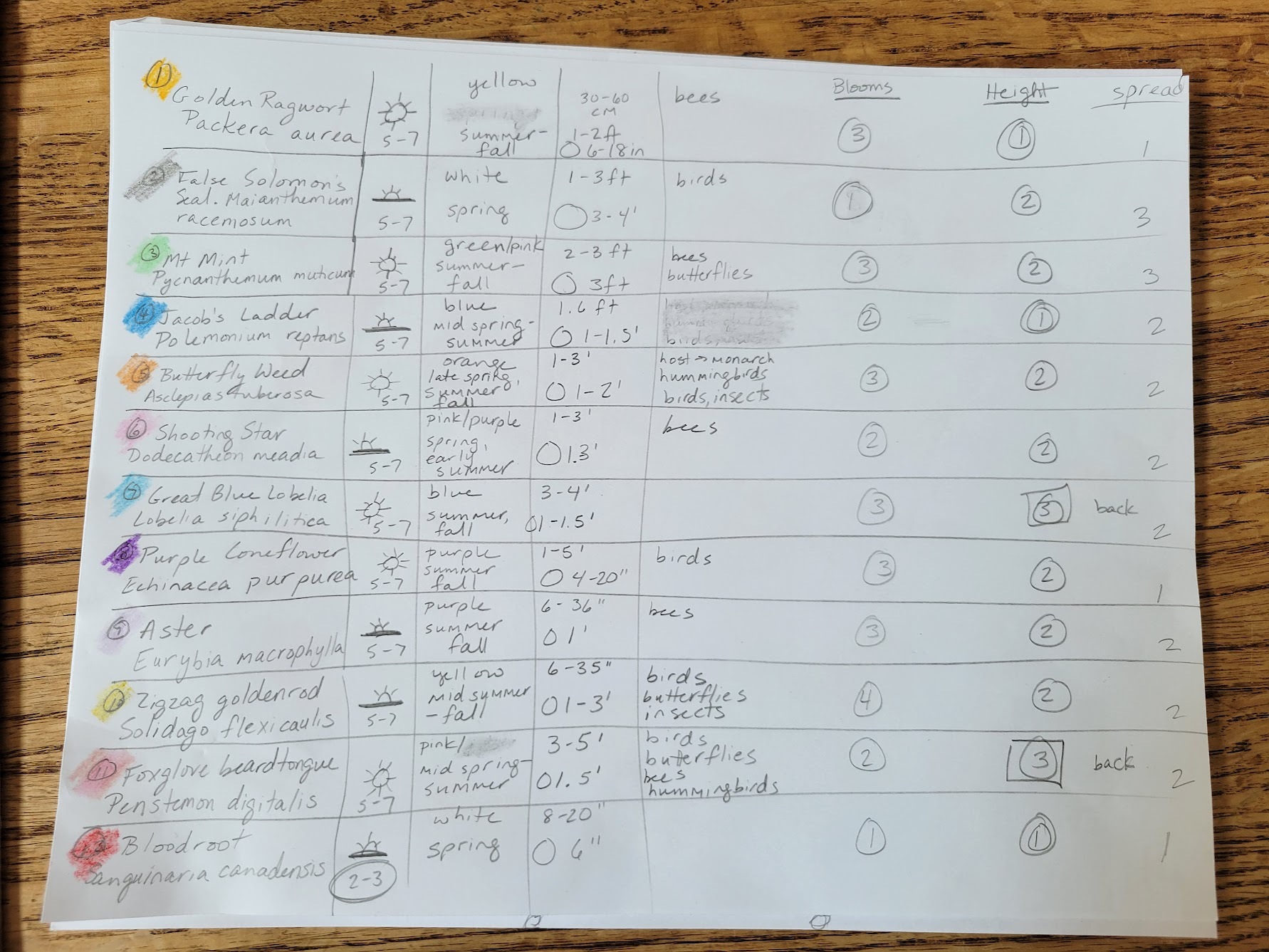 Color Penfield Green Helps Scribner Road School New Environmental Club with Pollinator Garden https://www.healthyyardsmonroecounty.org Scribner garden plant list 23 https://www.healthyyardsmonroecounty.org