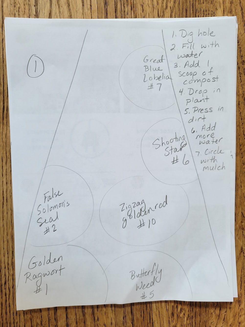 Color Penfield Green Helps Scribner Road School New Environmental Club with Pollinator Garden https://www.healthyyardsmonroecounty.org Scribner garden section plan and instructions https://www.healthyyardsmonroecounty.org