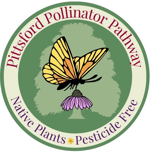 Town of Pittsford Featured on WXXI for Launching Pollinator Pathway Program https://www.healthyyardsmonroecounty.org pittsford pollinator pathway sign logo https://www.healthyyardsmonroecounty.org